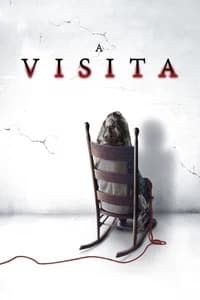 Pôster de A Visita